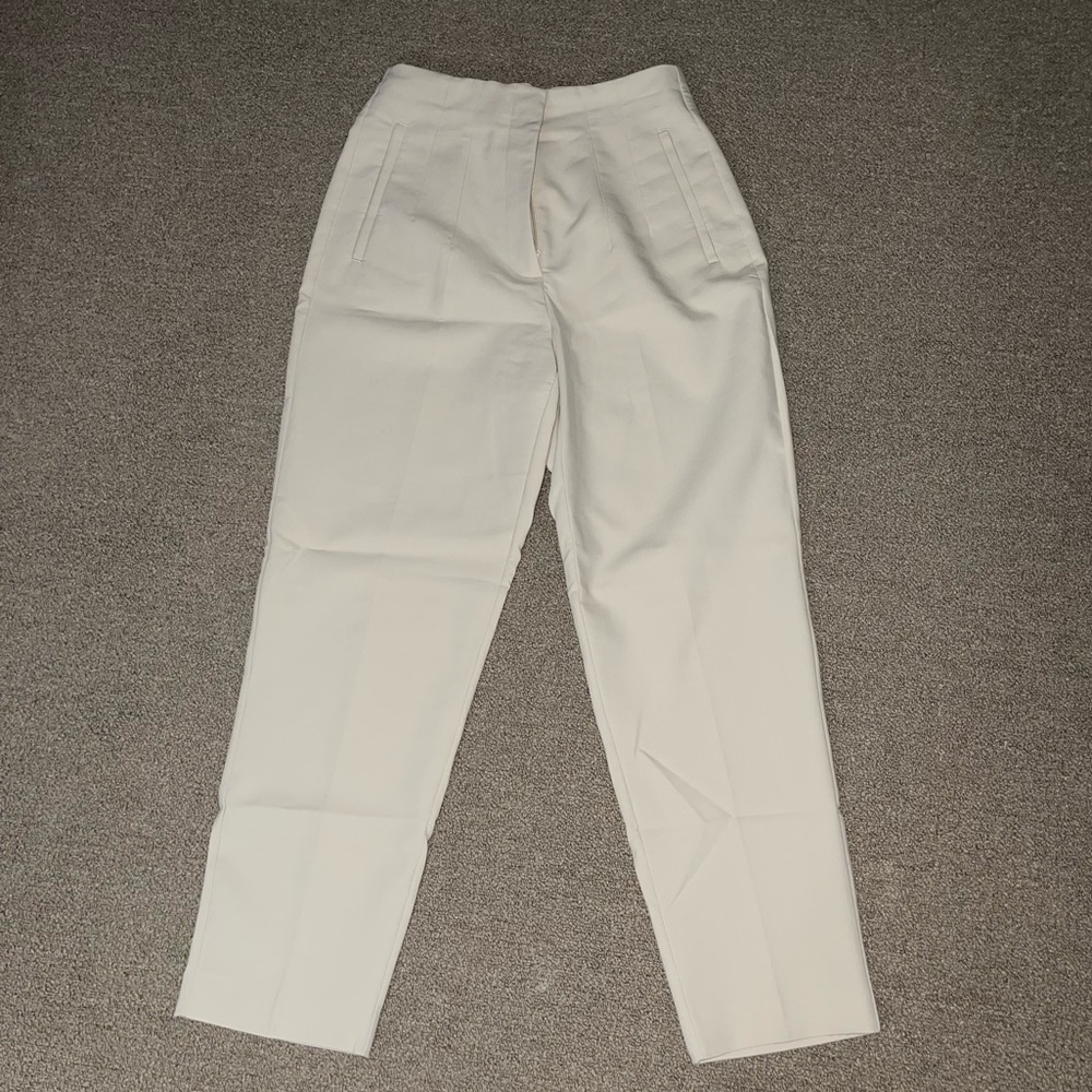 Zara High Waisted Pants